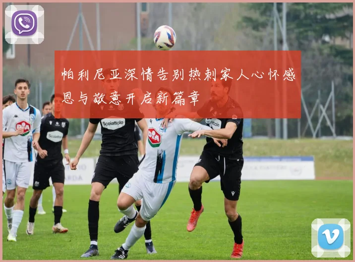 帕利尼亚深情告别热刺家人心怀感恩与敬意开启新篇章